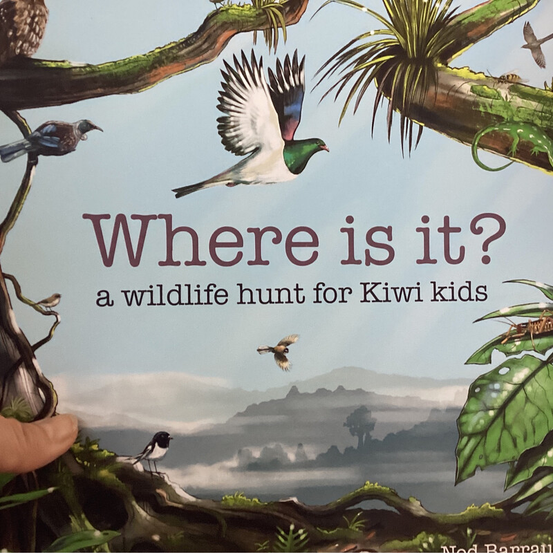 Where Is It? A Wild Life Hunt For Kiwi Kids, Ned Barraud