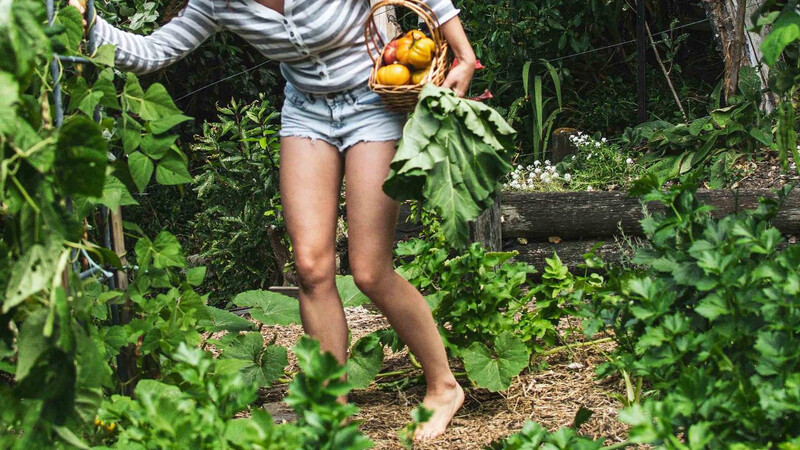 Homegrown Happiness Book