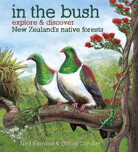 Explore &amp; Discover New Zealand Book Series &amp; Backyard Books By Ned Barraud