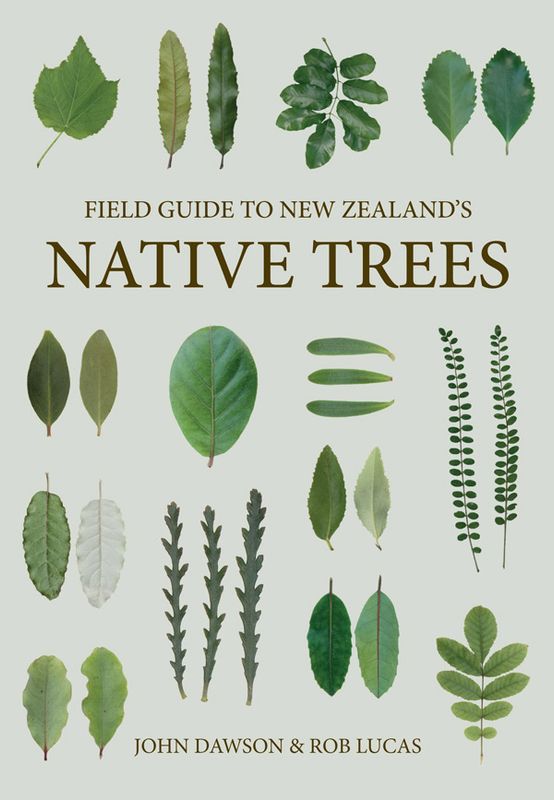 Field Guide To New Zealand Native Trees