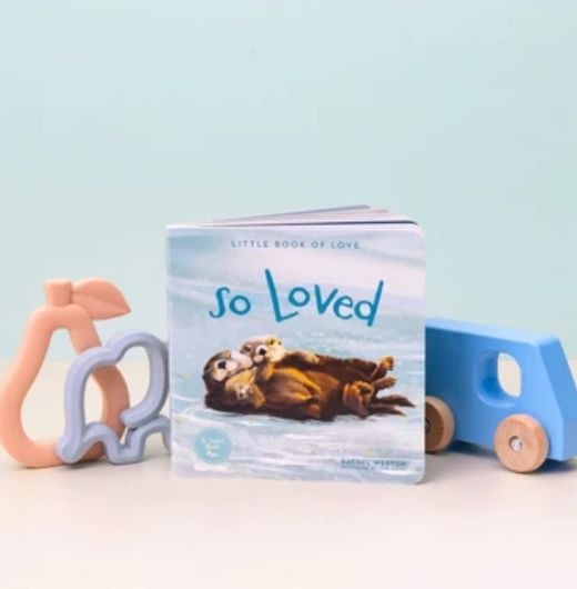 So Loved Book Series By Rachel Weston