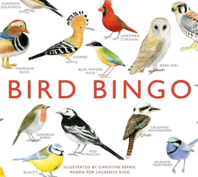 Bird Bingo Game
