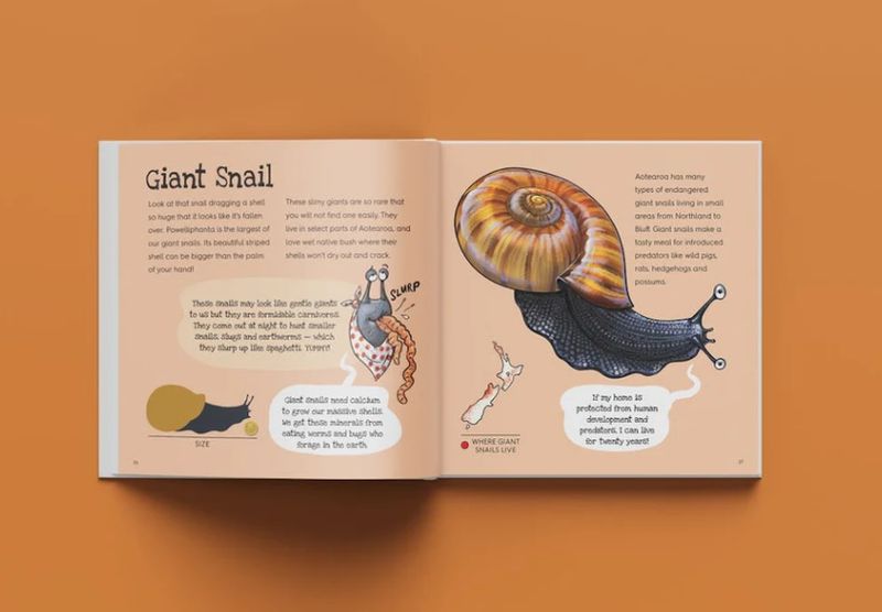 Animals of Aotearoa by Donovan Bixley, Little Moa