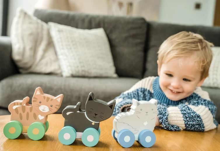 Orange Tree Toys - Sustainable Wood, Plastic Free, Non-toxic Paint, Child Safe UK