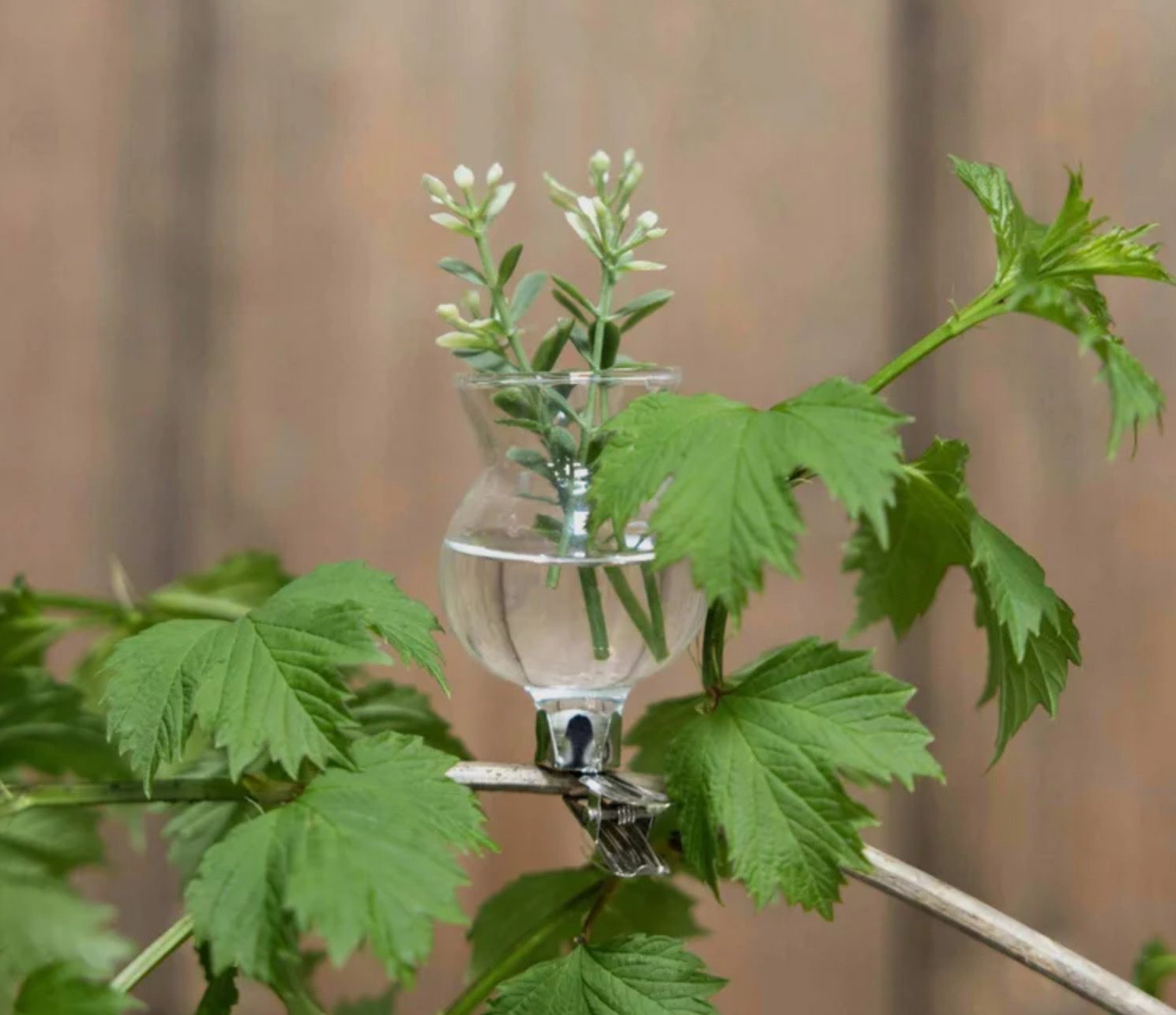 Glass Vases Clips On By Esschert’s Garden