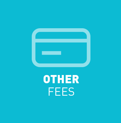 Other Fees