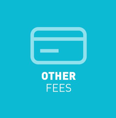 Other Fees