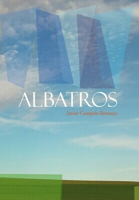 Albatros, de Javier Campelo Bermejo