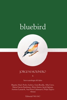Bluebird, de Jorge M. Molinero