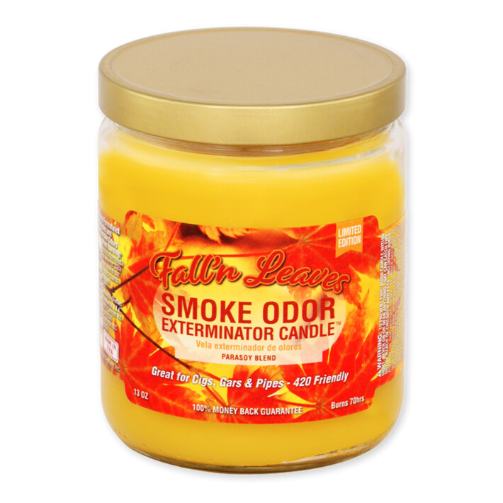 Fall&#39;n Leaves Smoke Odor Candle