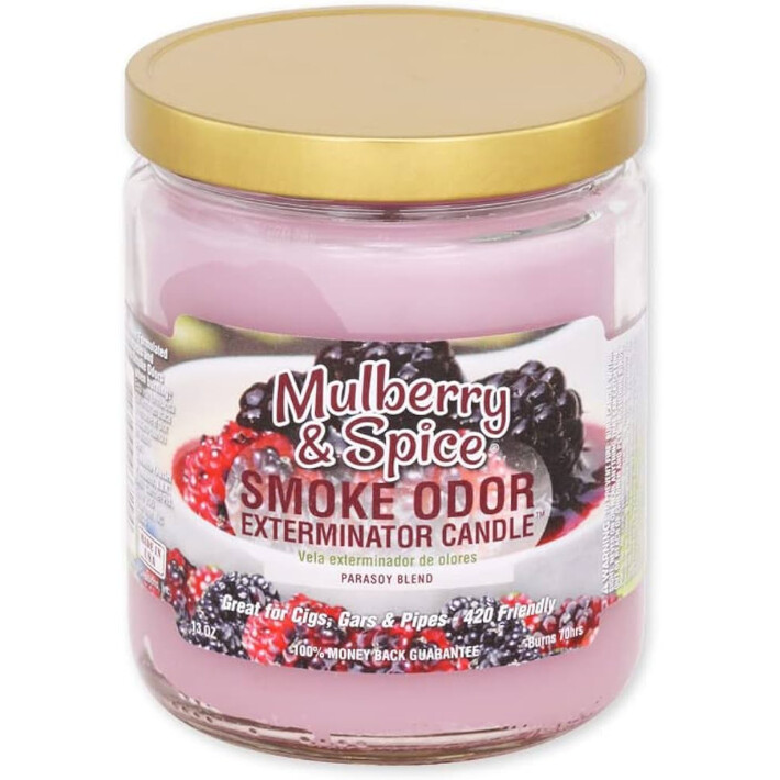 SALE! Mulberry Spice Smoke Odor Candle