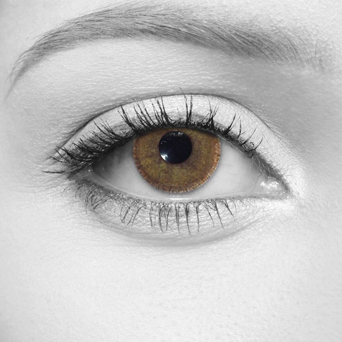 3 Tone Hazel Cosmetic Contact Lenses
