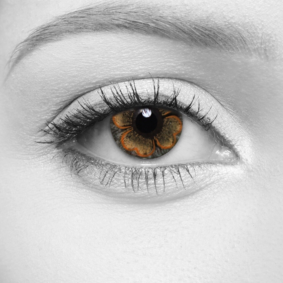 Bloom Hazel Cosmetic Contact Lenses
