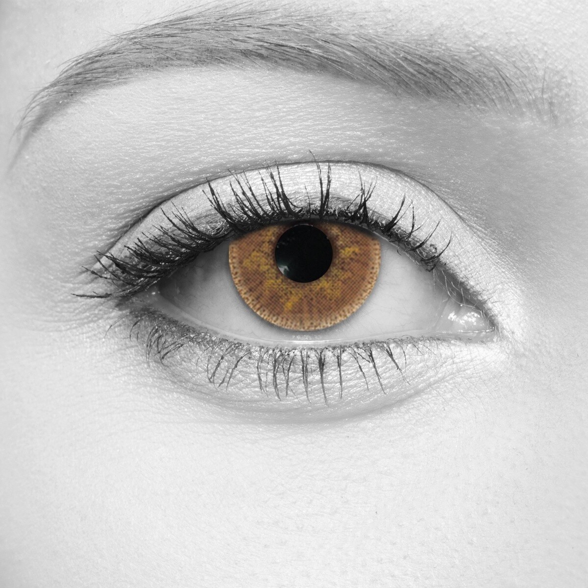 Autumn Cosmetic Contact Lenses