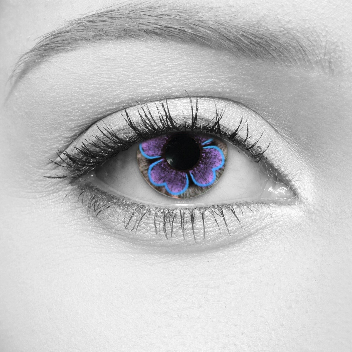 Bloom Violet Cosmetic Contact Lenses