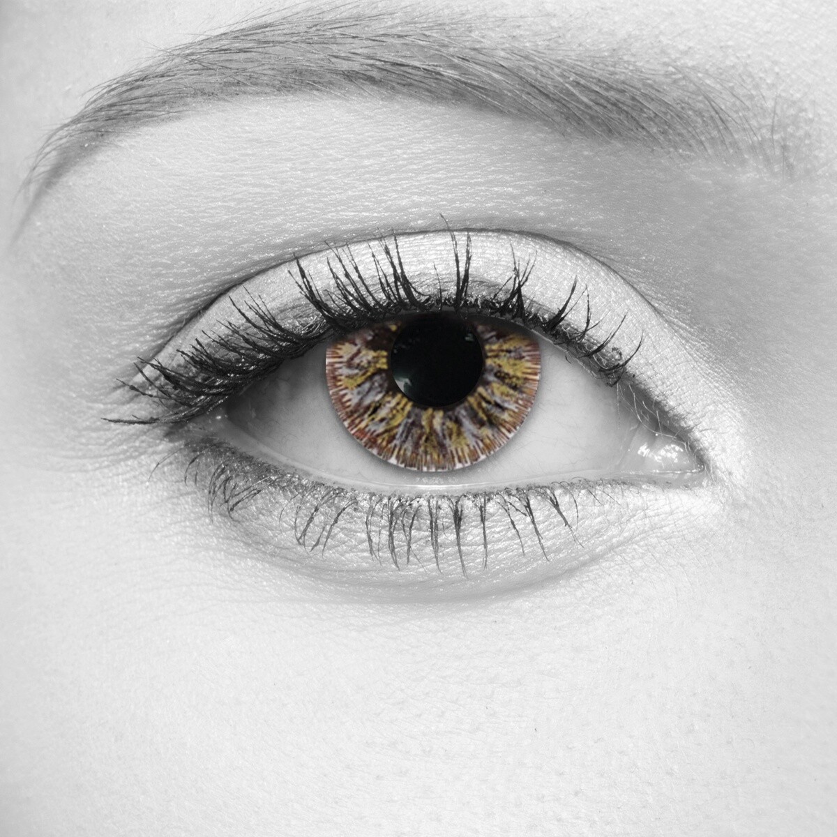 Crystal Grey Cosmetic Contact Lenses