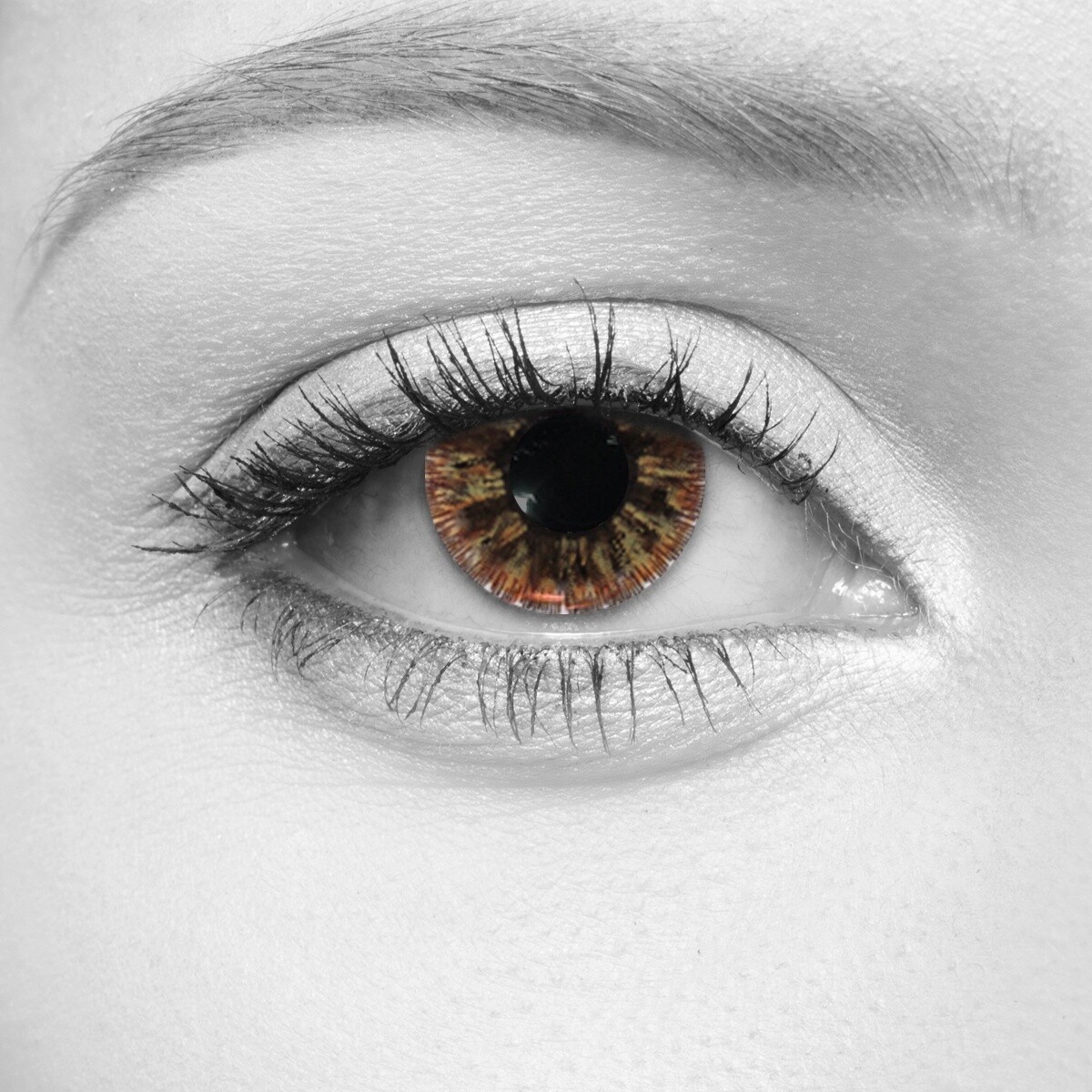Crystal Hazel Cosmetic Contact Lenses