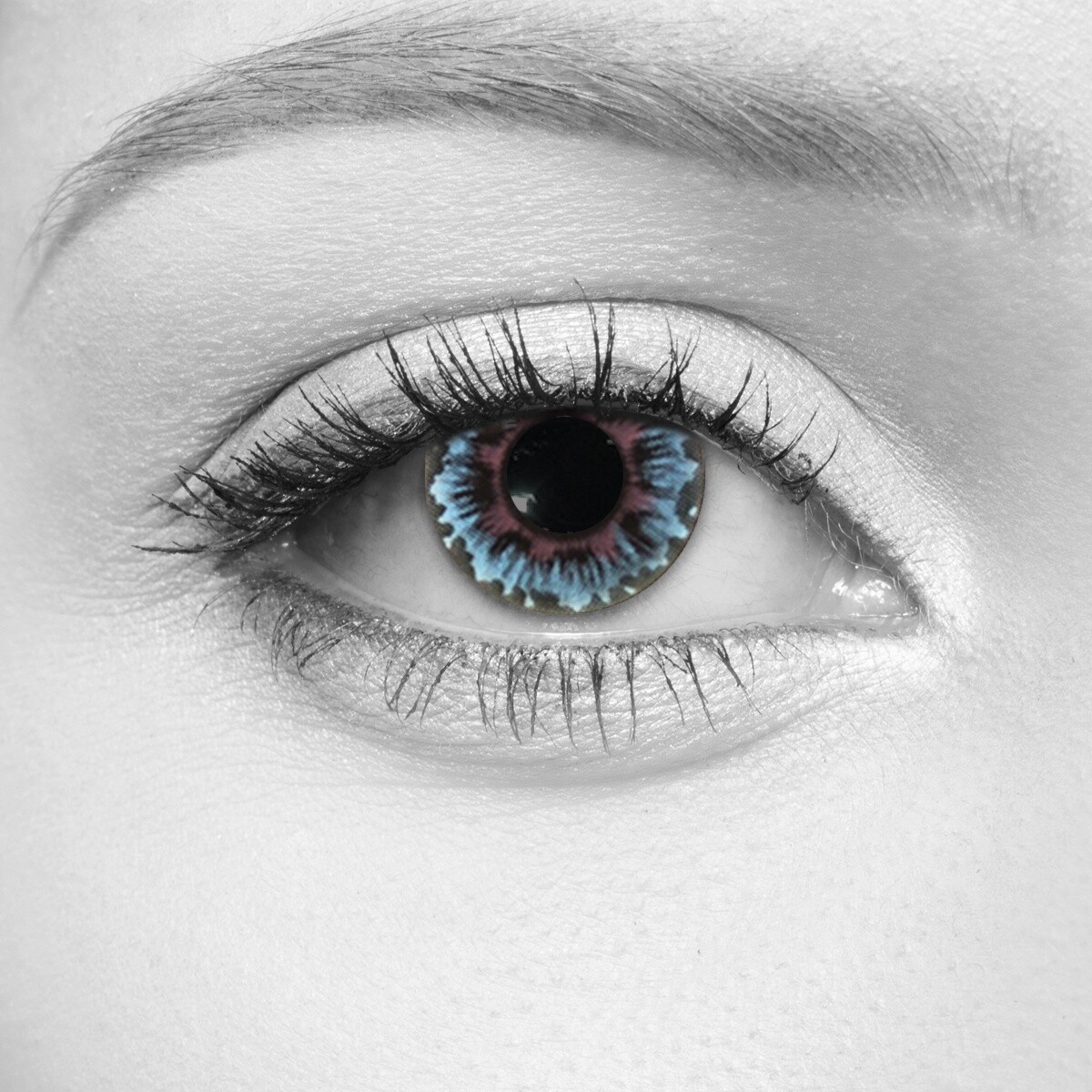 Floral Blue Cosmetic Contact Lenses