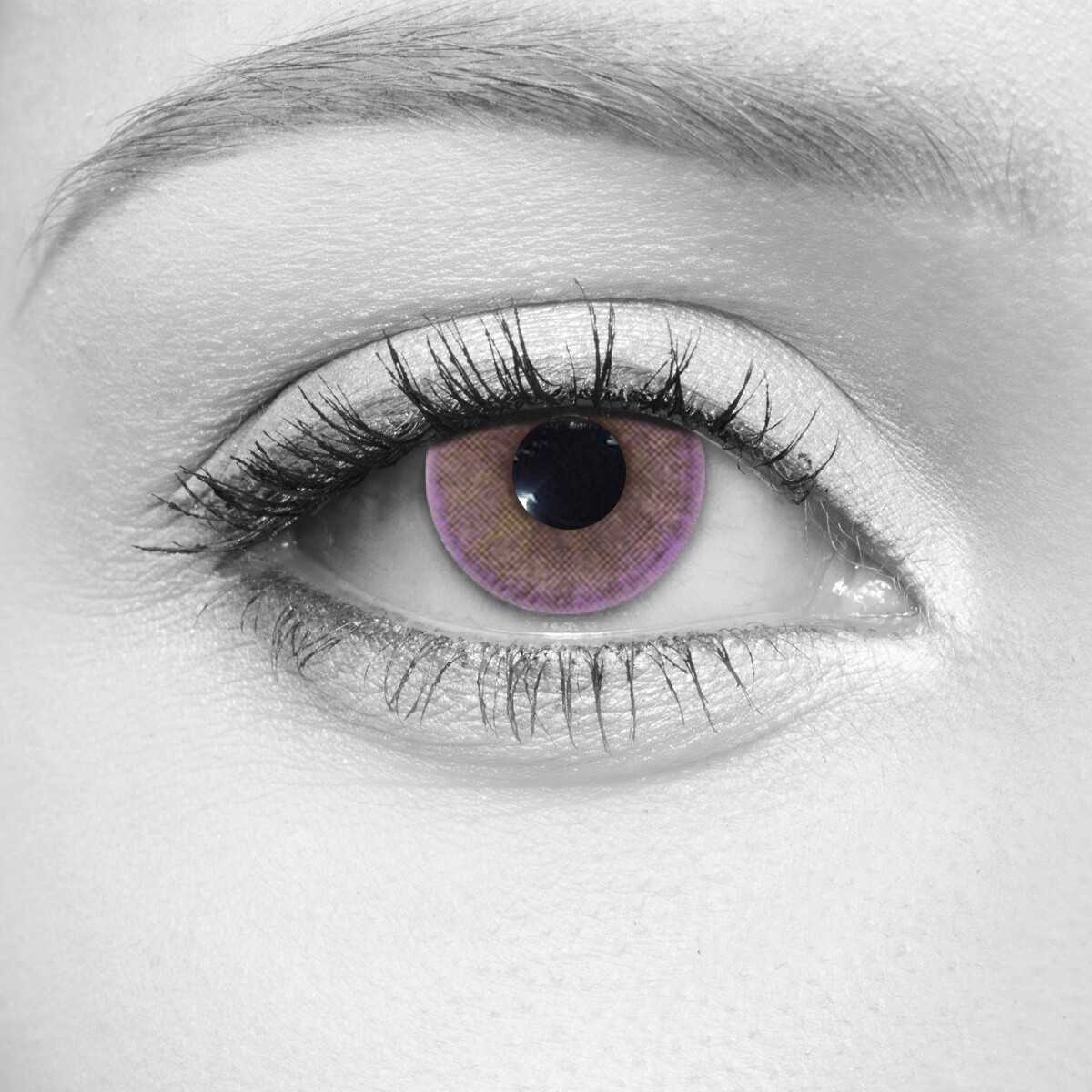 2 Tone Violet Cosmetic Contact Lenses