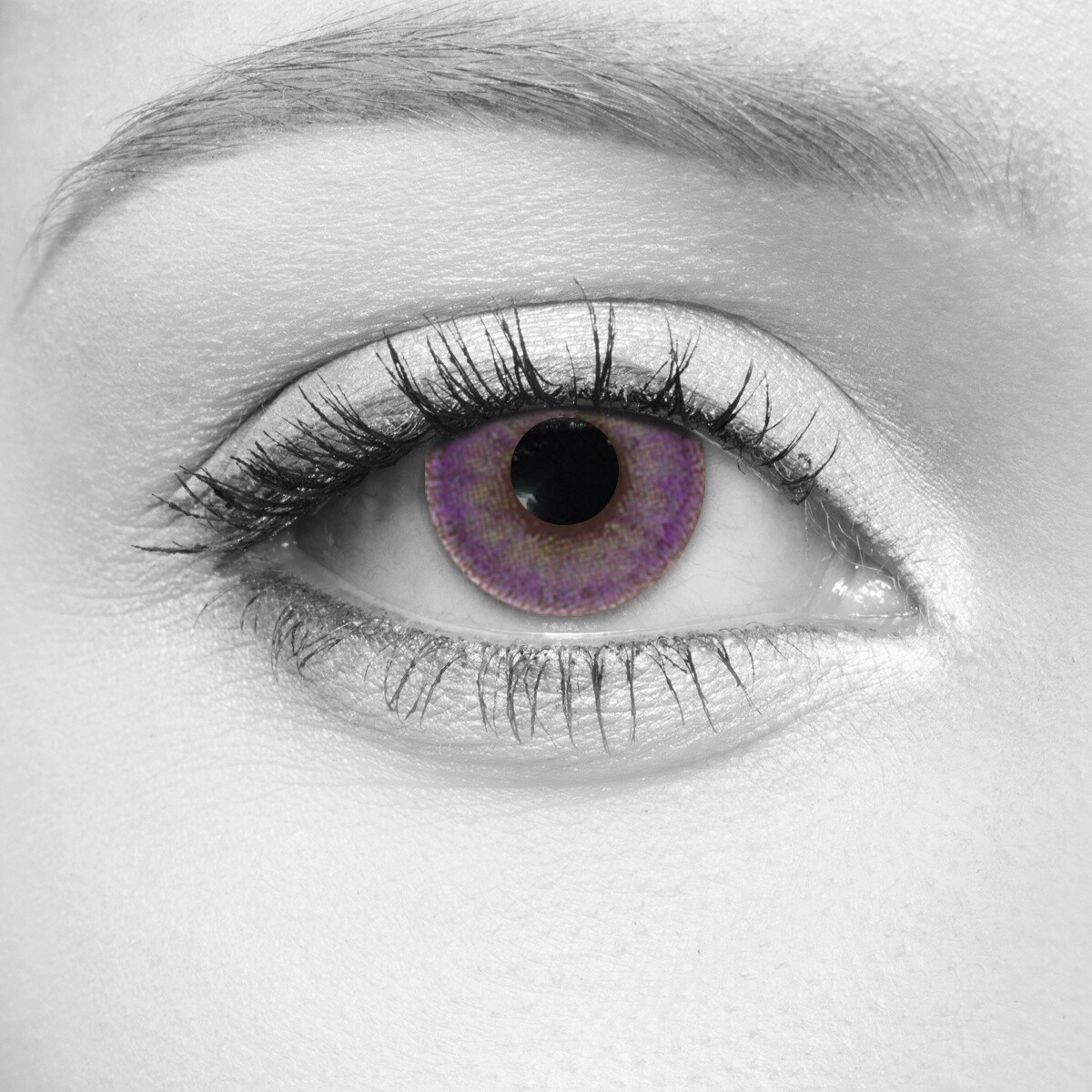 Glimmer Violet Cosmetic Contact Lenses