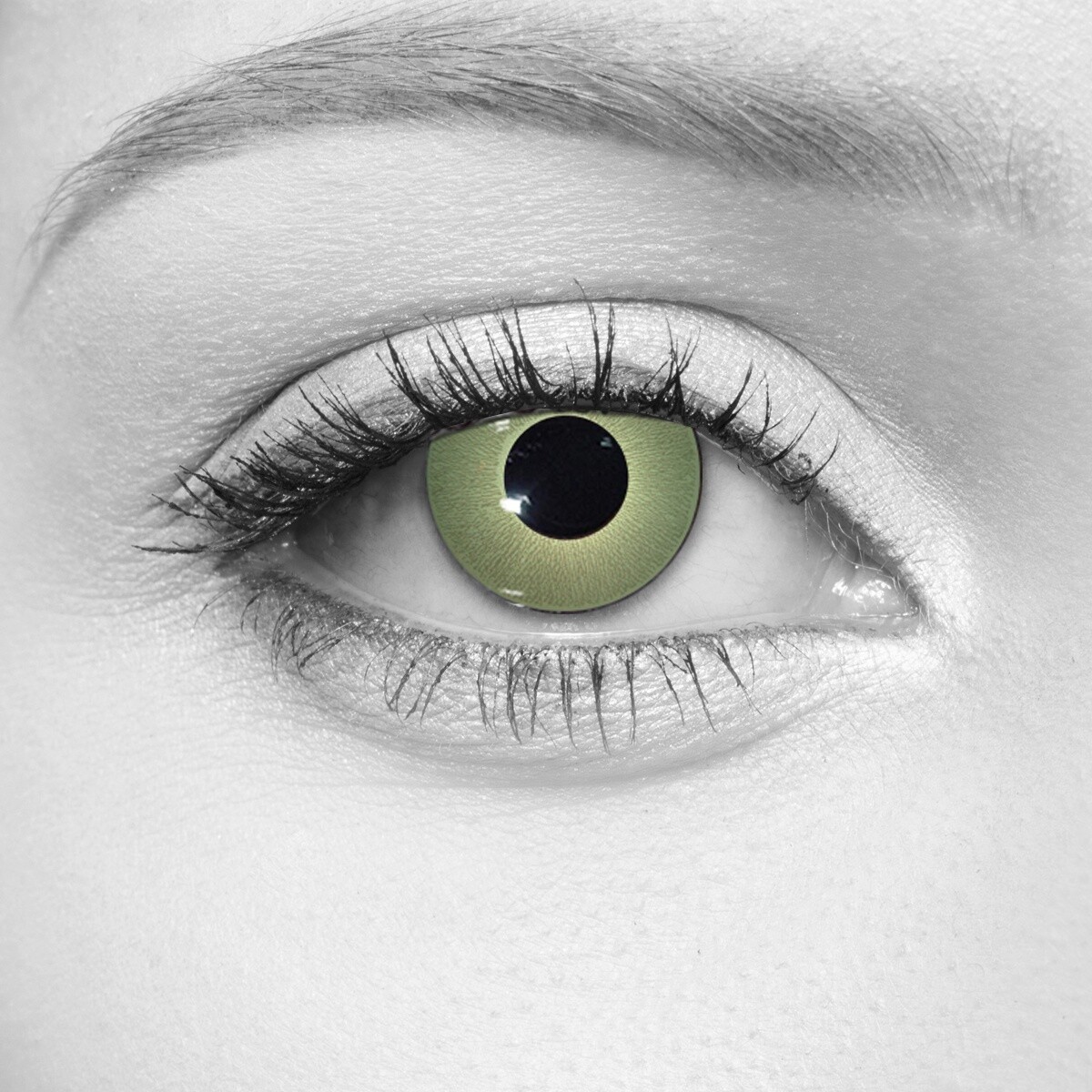 Plague Cosmetic Contact Lenses