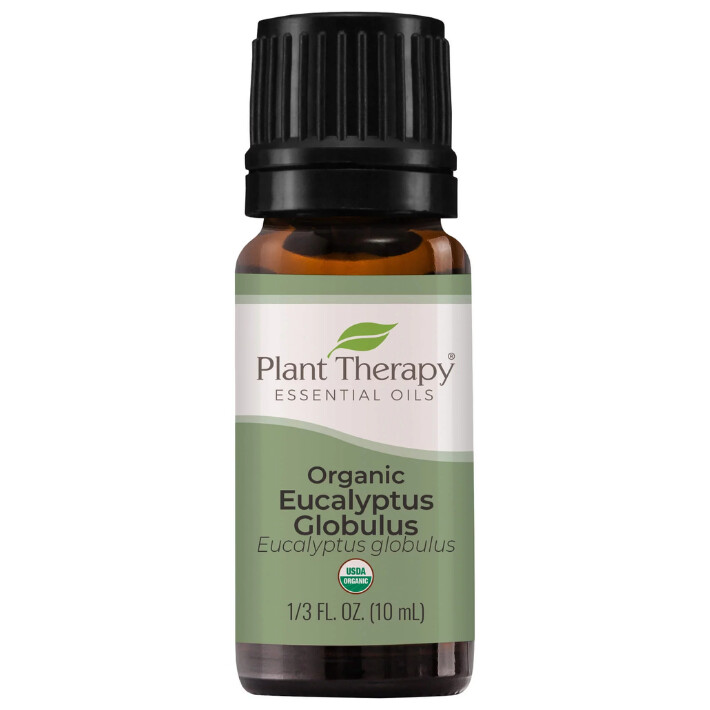 Organic Eucalyptus Oil - Plant Therapy