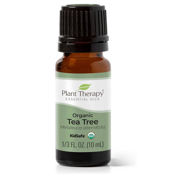 Organic Tea Tree Oil - Plant Therapy