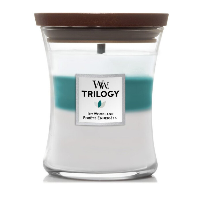 Icy Woodland Trilogy  Hourglass WoodWick Candle