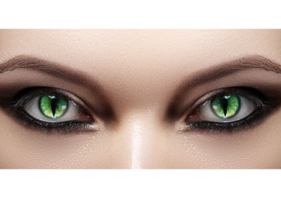 Contact Lenses