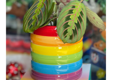 Plant Pots