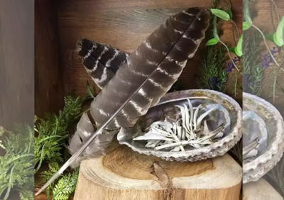 Shells &amp; Feathers