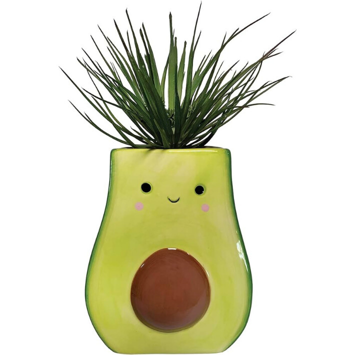 Avocado Planter