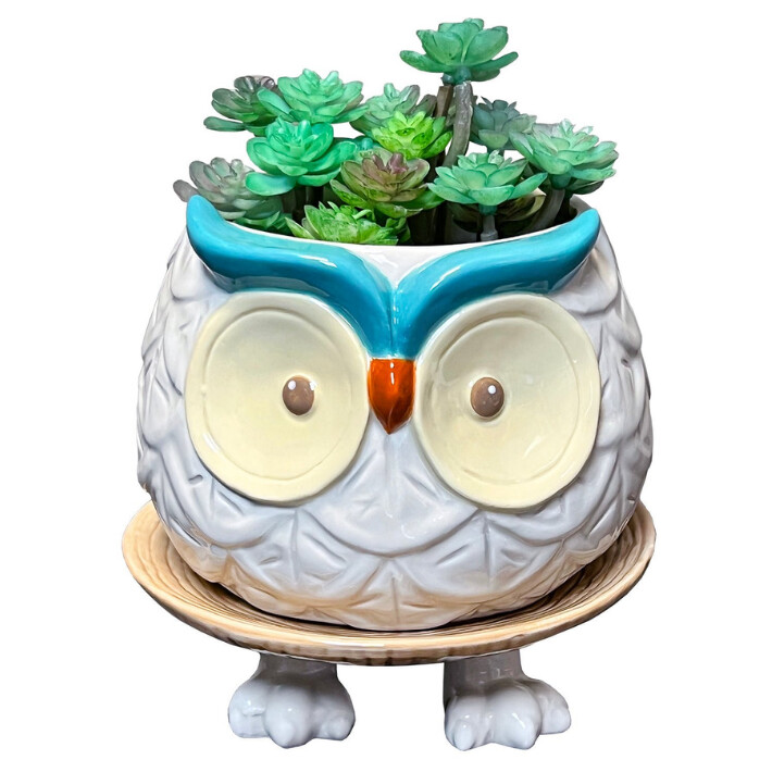 Hoots The Owl Footsie Planter
