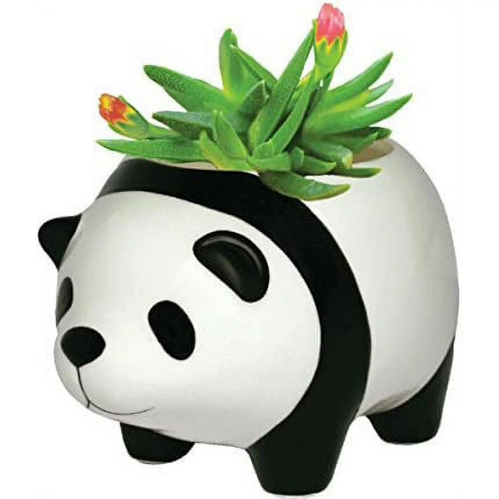 Panda Planter
