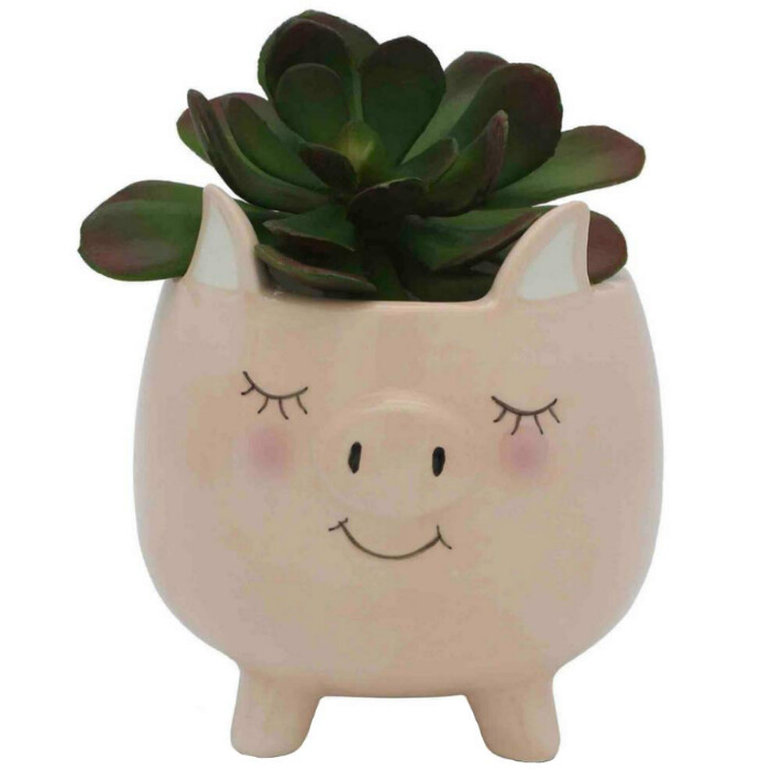 Piggy Planter