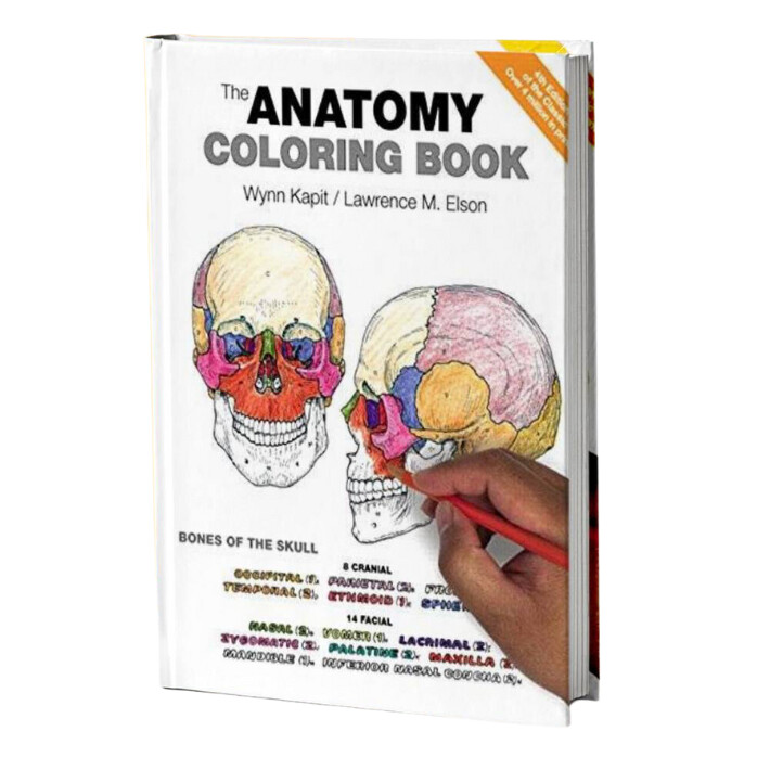 Anatomy Coloring Book 4th Edition by Lawrence Elson &amp; Wynn Kapit