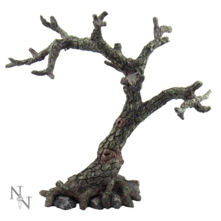 The Sacred Oak Jewlery Keeper 9.8&quot;