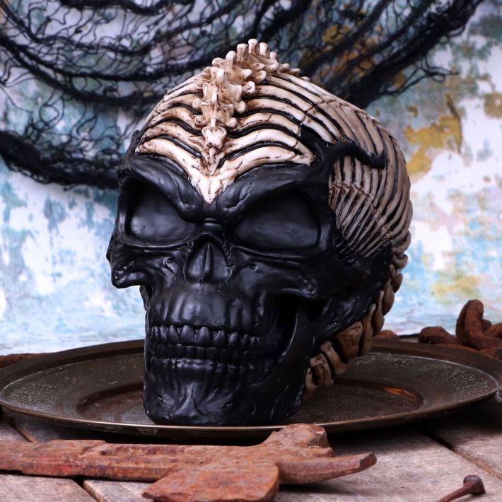 #10N Spine Head Skull by James Ryman 7.3&quot;