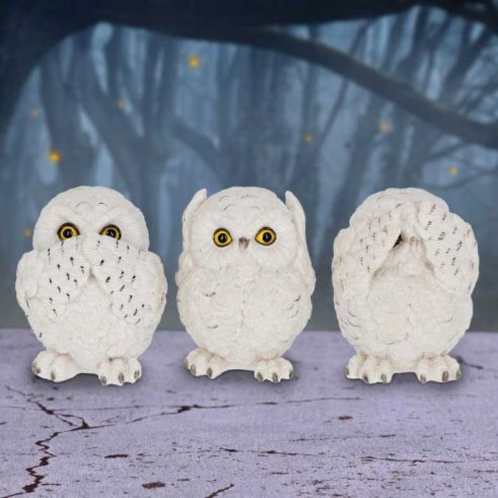 #140N Three Wise Owls