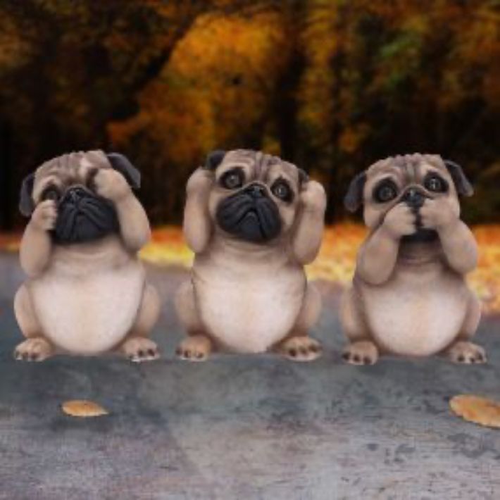 #15N Three Wise Pugs
