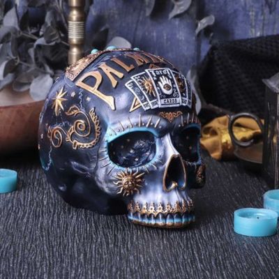 #23N Destiny Palmistry Skull