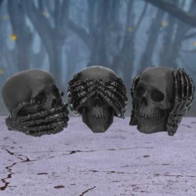 #222N Three Wise Dark Skulls
