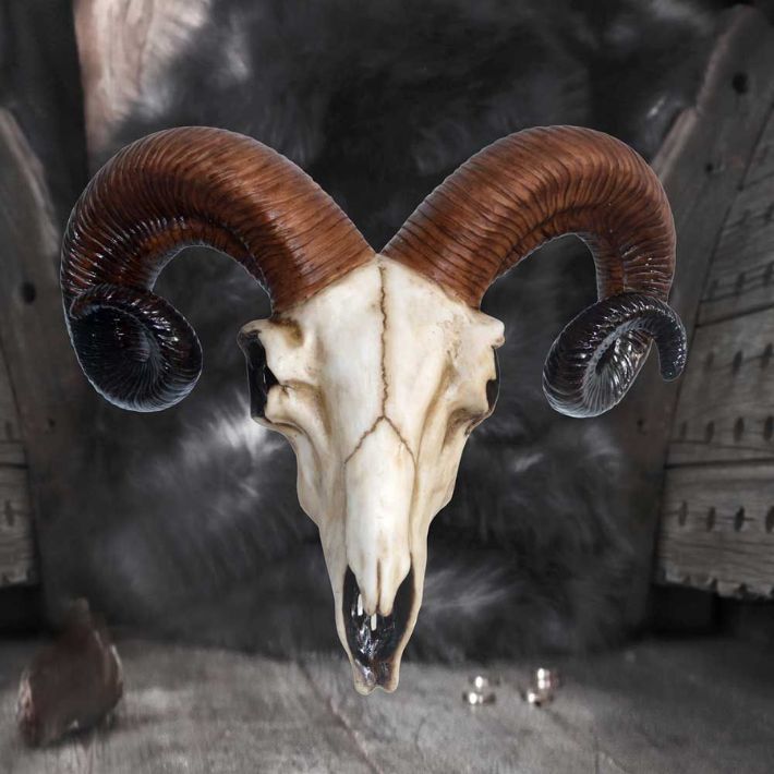 #58N Rams Skull Medium 13&quot;