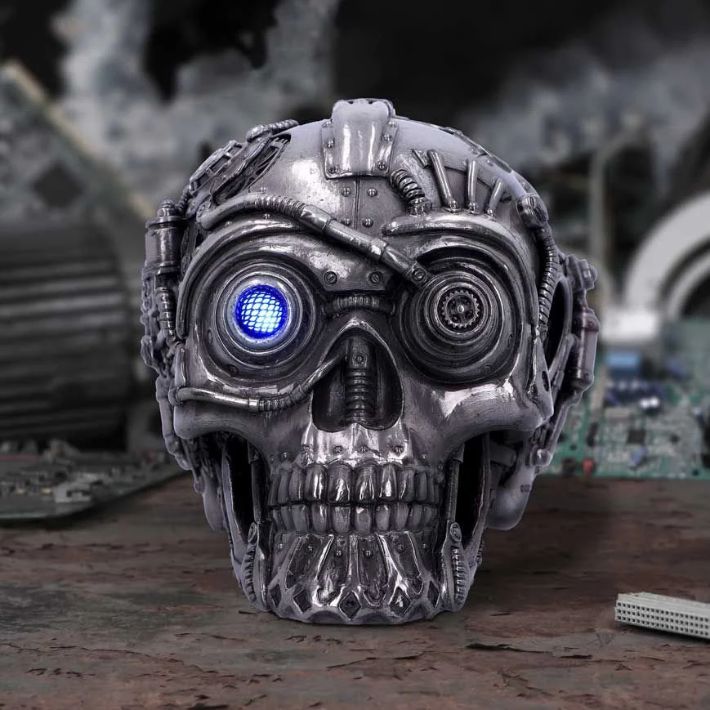 #90N Cybertron Silver Skull