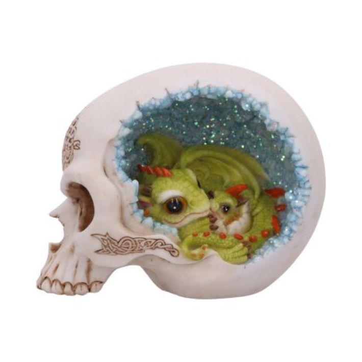 #171N Celtic Cave Skull