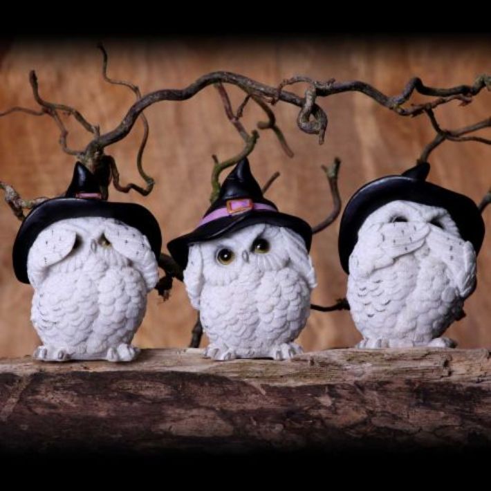 #174N Three Wise Feathered Familiars