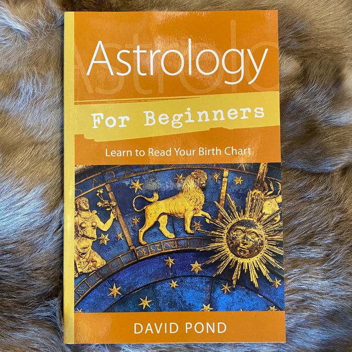 Astrology for Beginners: Learn to Read Your Birth Chart by David Pond