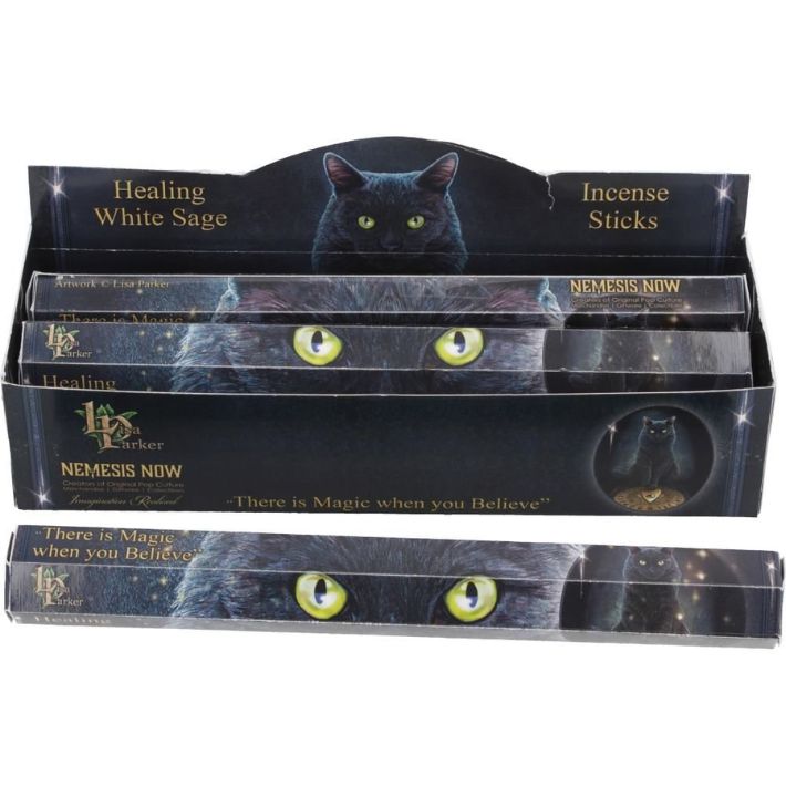 Healing Incense Sticks White Sage LP