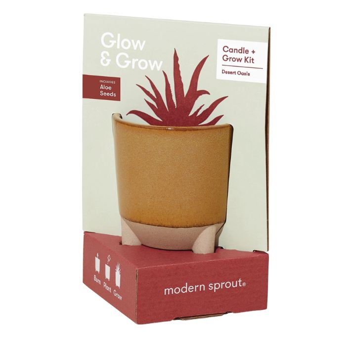 Aloe Grow &amp; Glow Candle Kit