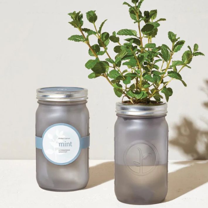 Mint Garden Jar